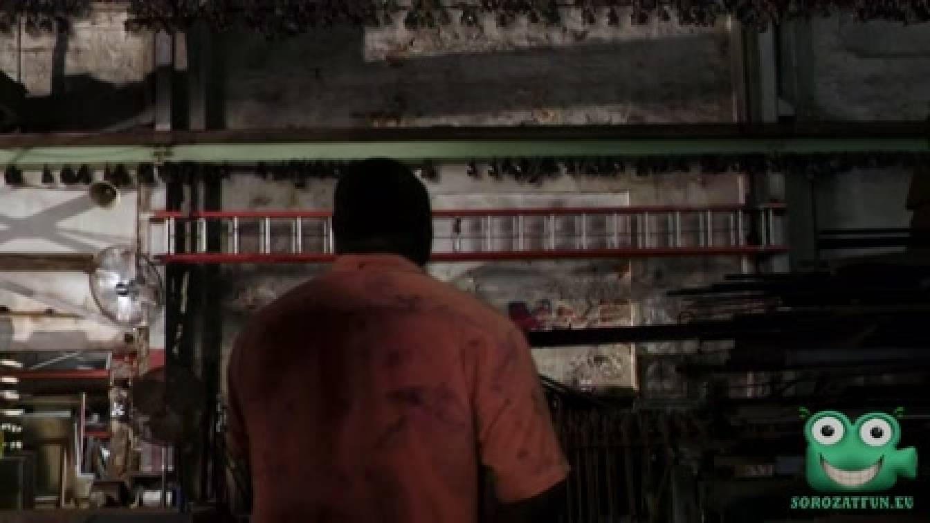 Zoo - Állati ösztön 1. évad 06. rész