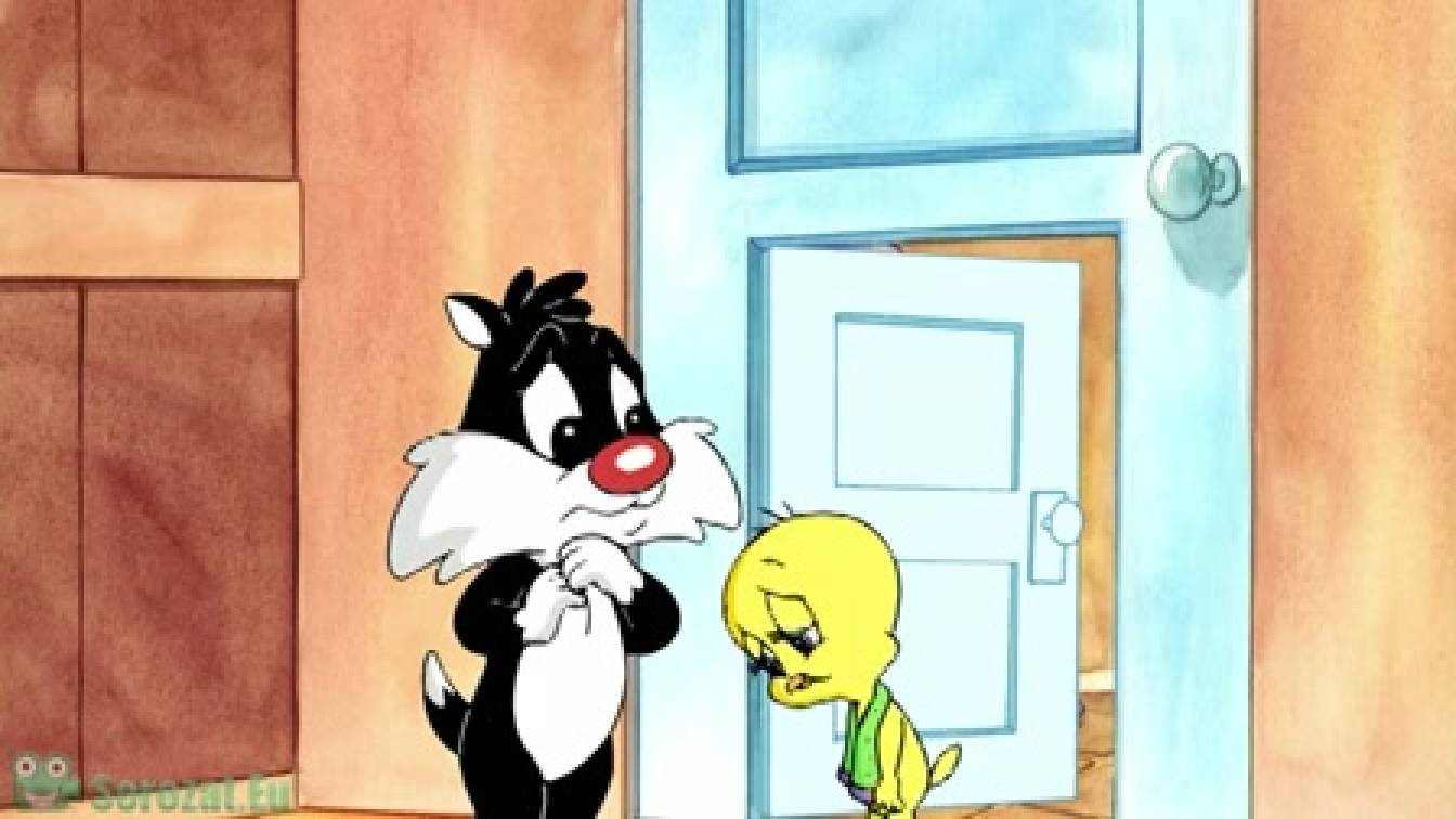 Bébi bolondos dallamok  1. évad 63. rész