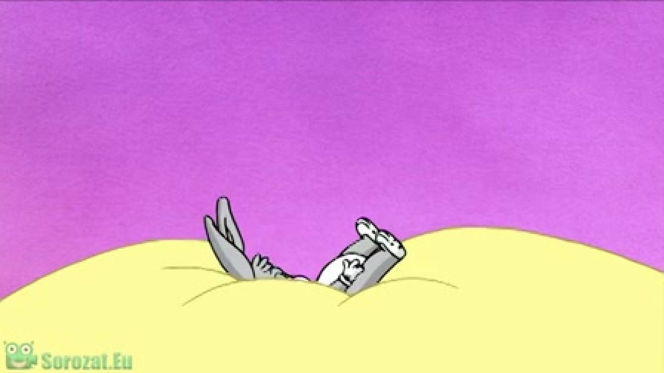 Bébi bolondos dallamok  1. évad 78. rész