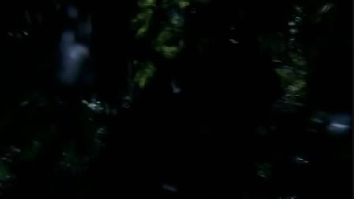 Lost - Eltűntek 3. évad 15. rész