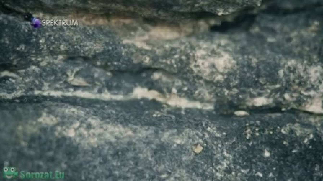 Lenyűgöző bolygónk, a Föld 1. évad 05. rész