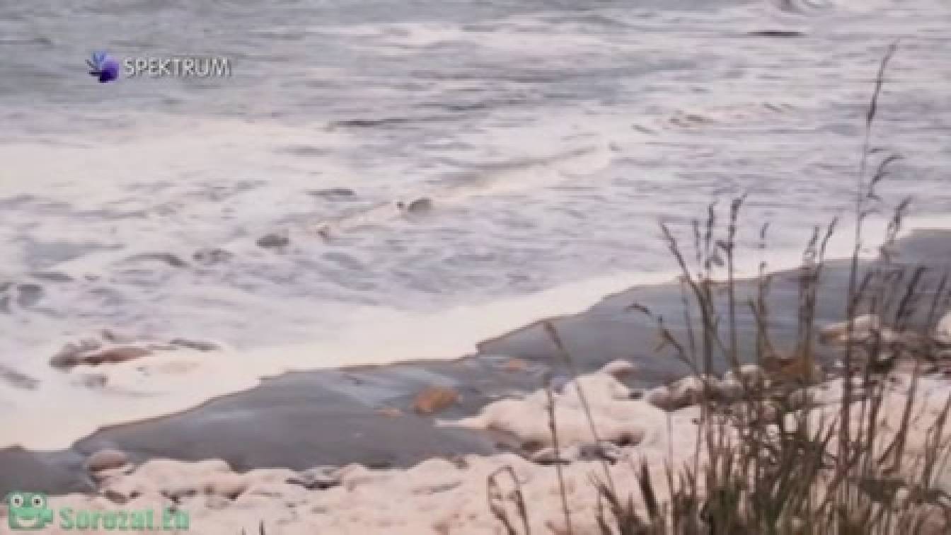 Lenyűgöző bolygónk, a Föld 1. évad 06. rész