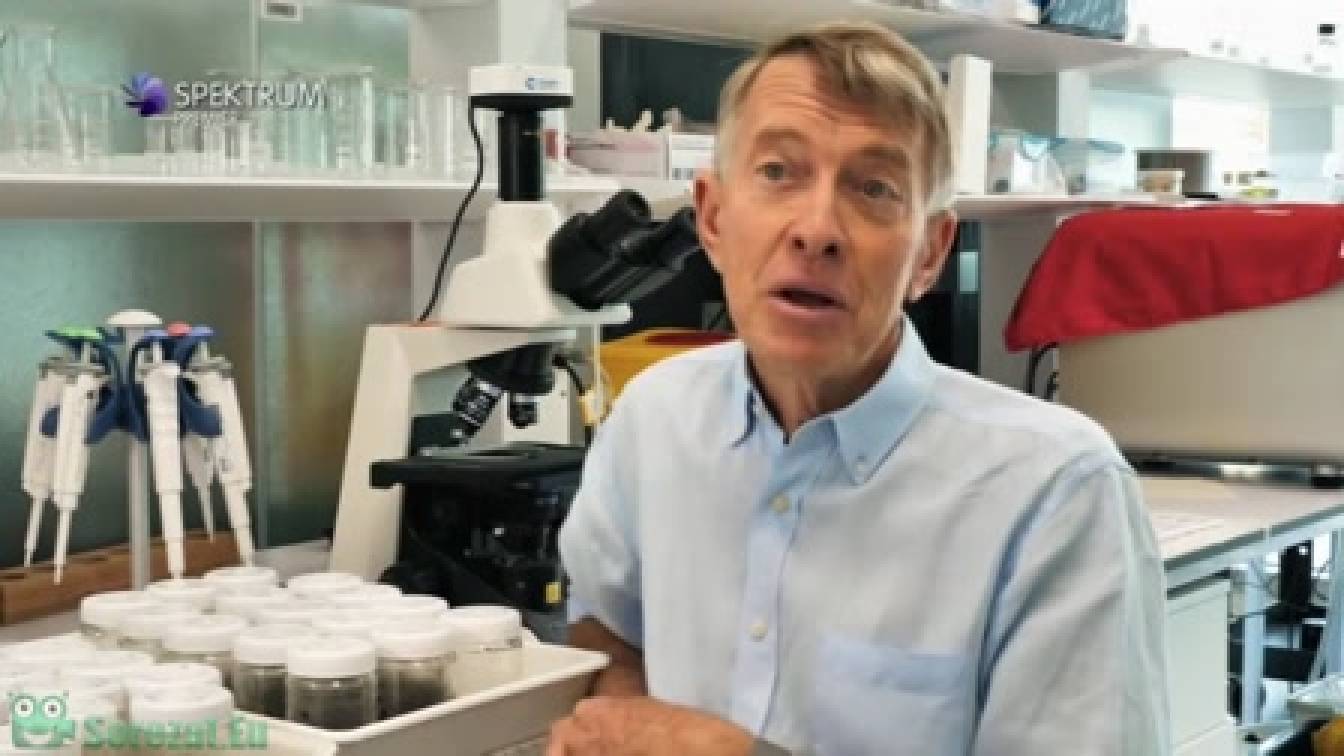 Lenyűgöző bolygónk, a Föld 1. évad 11. rész