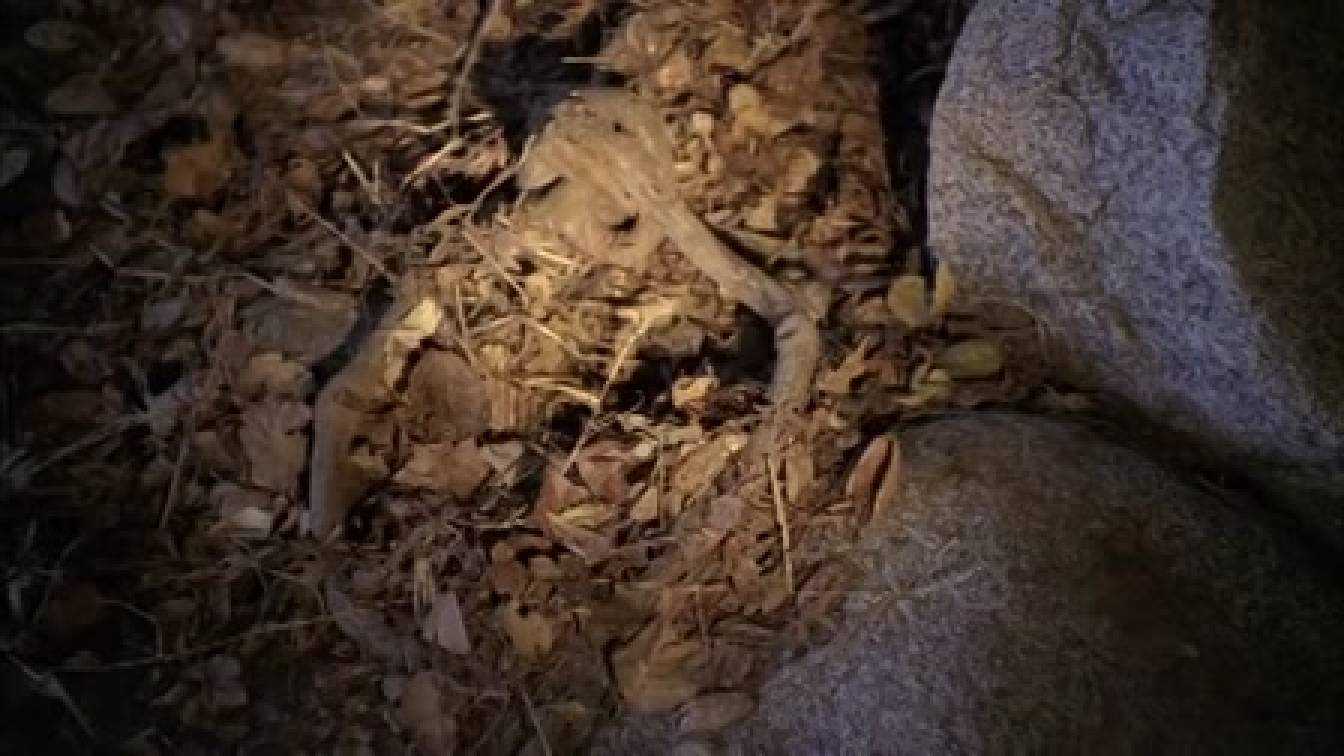 Szellemekkel suttogó 4. évad 15. rész