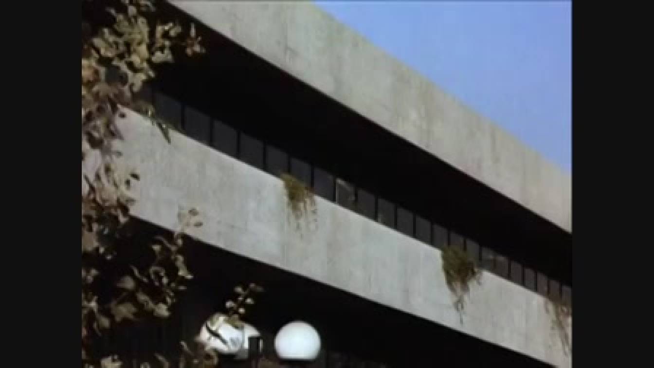 Dallas 4. évad 15. rész