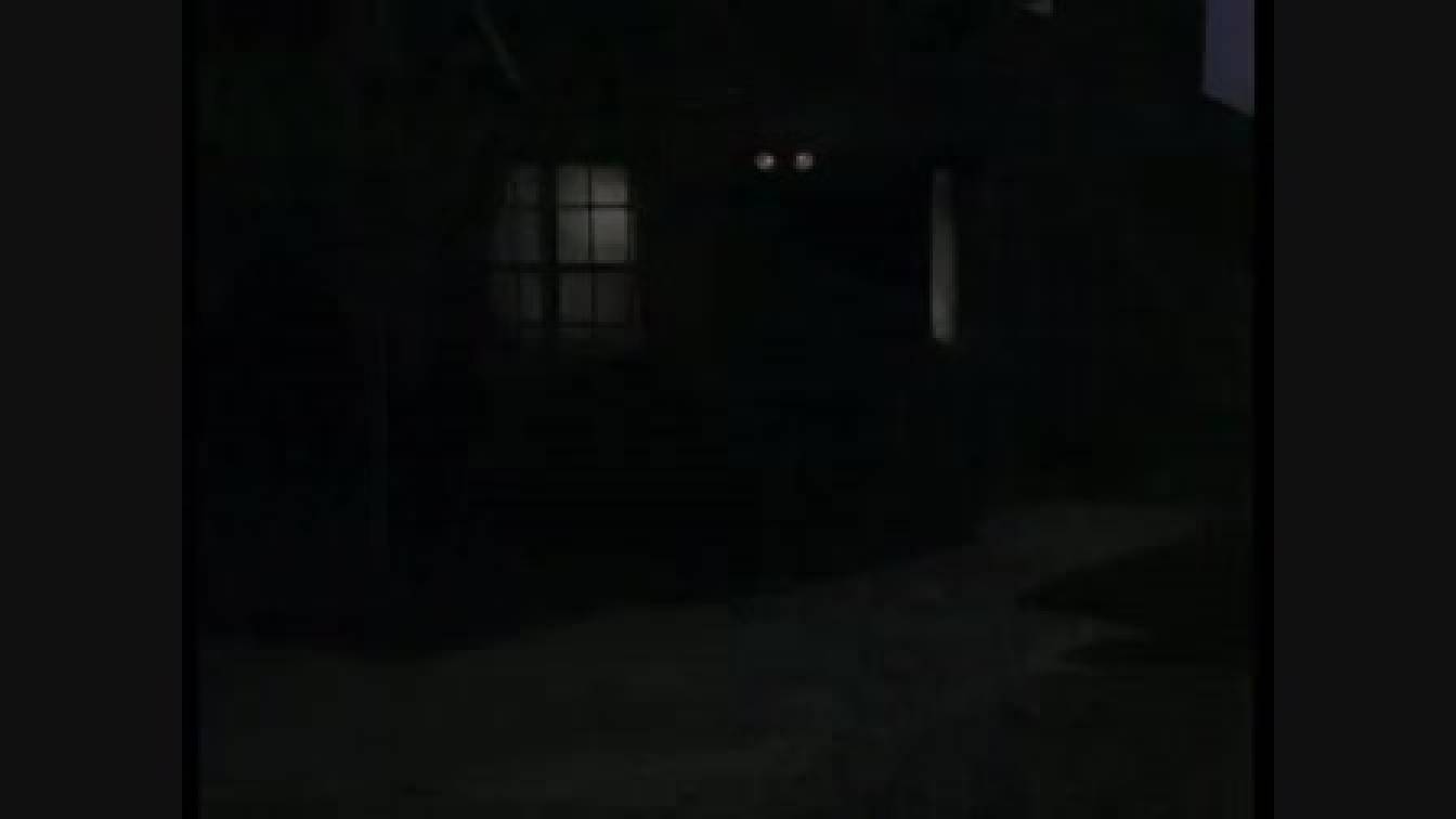 Dallas 8. évad 10. rész