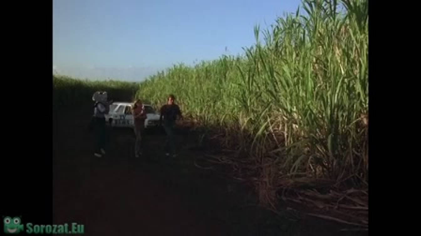 Magnum 1. évad 11. rész