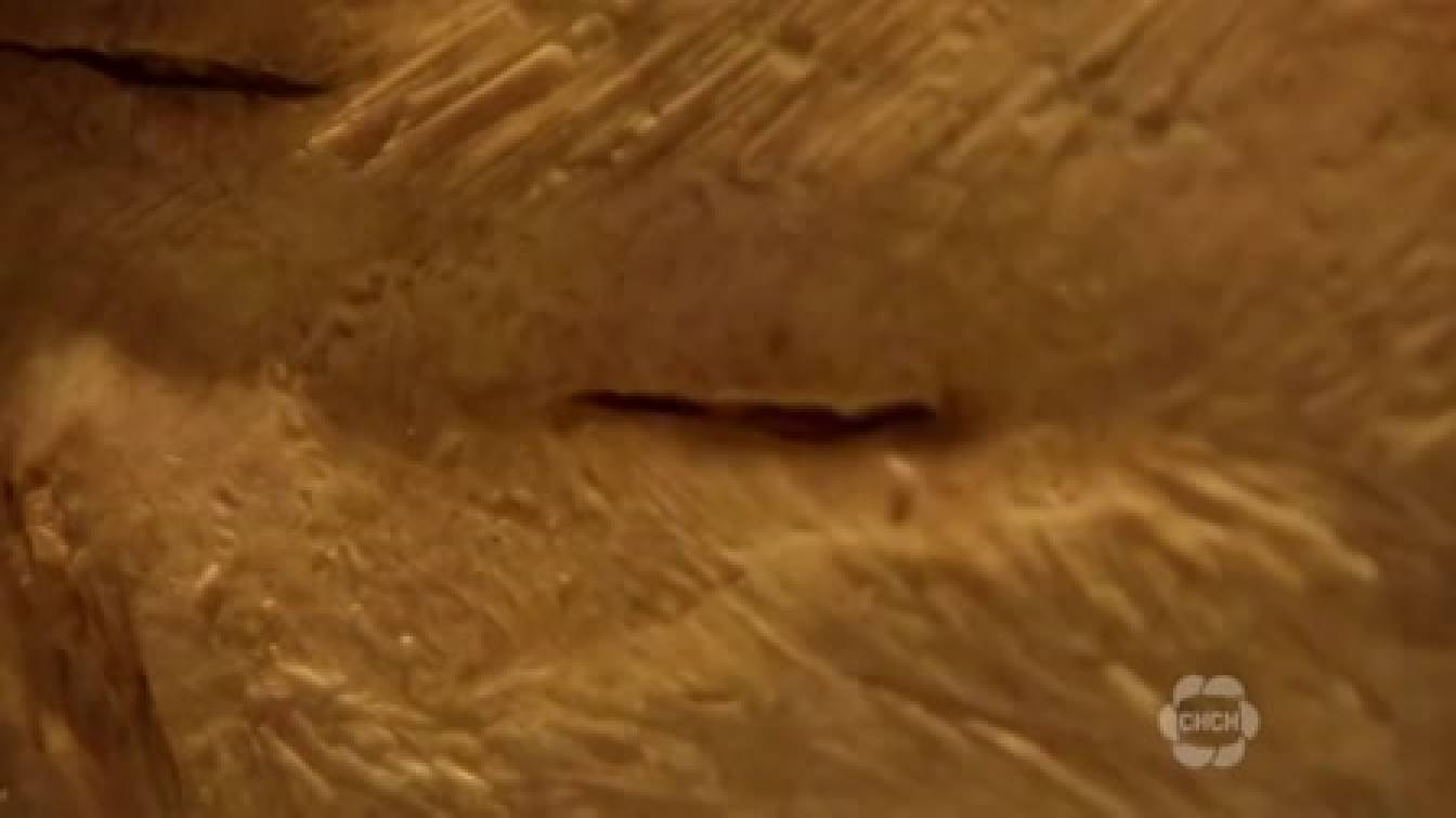 Rosewood 2. évad 06. rész