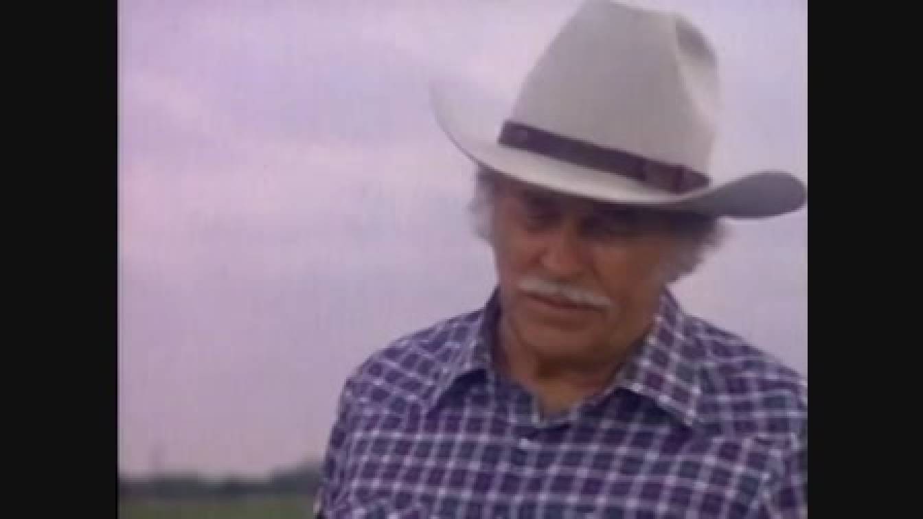 Dallas 11. évad 02. rész