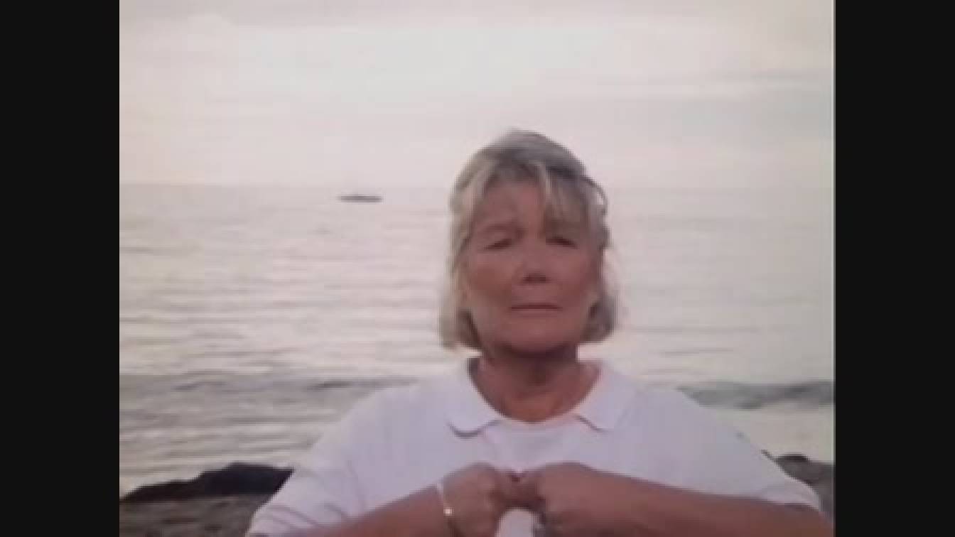 Dallas 11. évad 21. rész