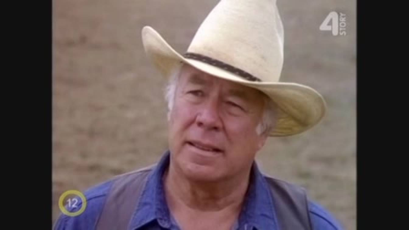 Dallas 12. évad 08. rész