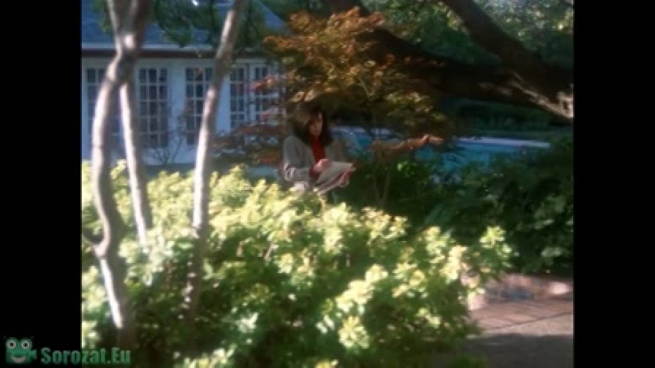 Dallas 12. évad 12. rész