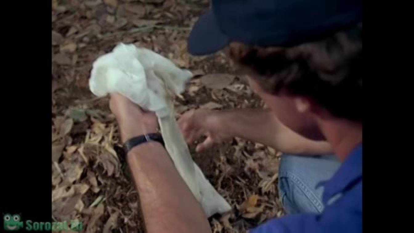 Magnum 2. évad 03. rész