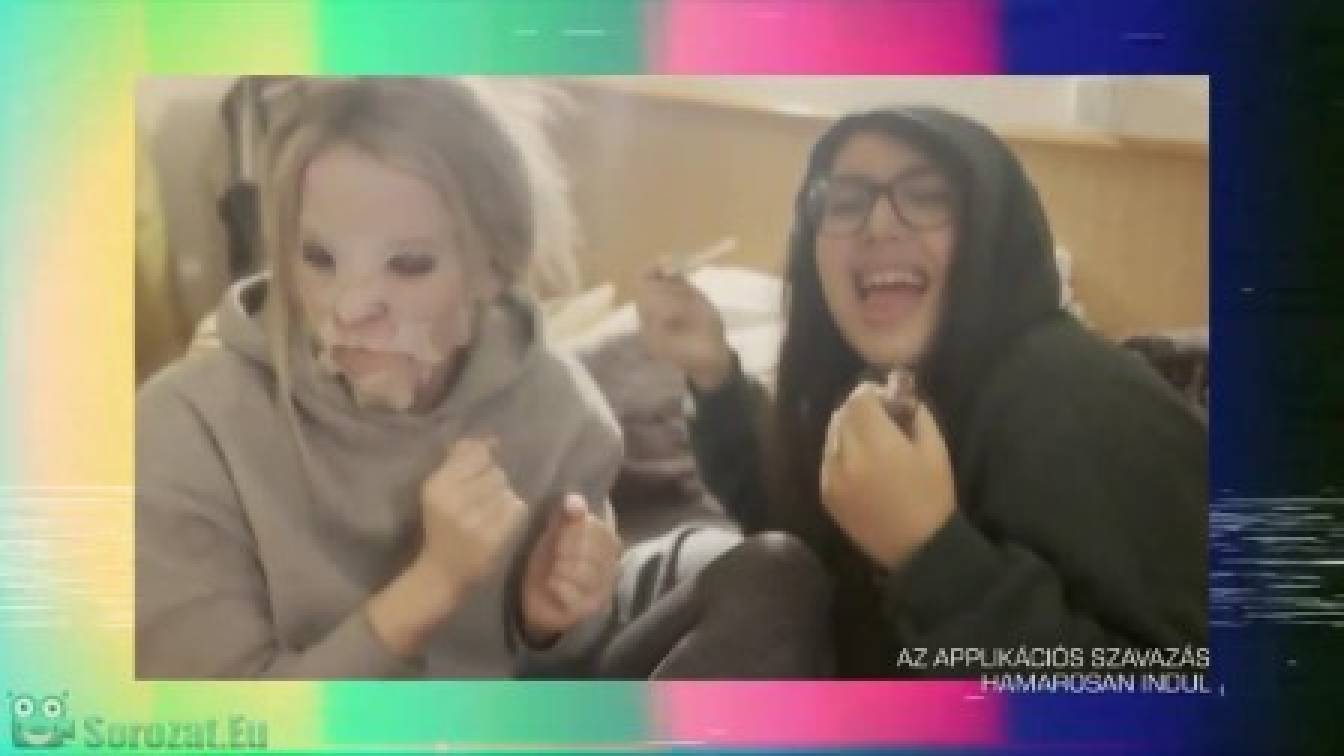 Sztárban sztár leszek! 4. évad 16. rész