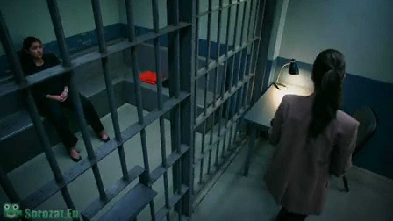 Bírónő, kérem! 1. évad 14. rész