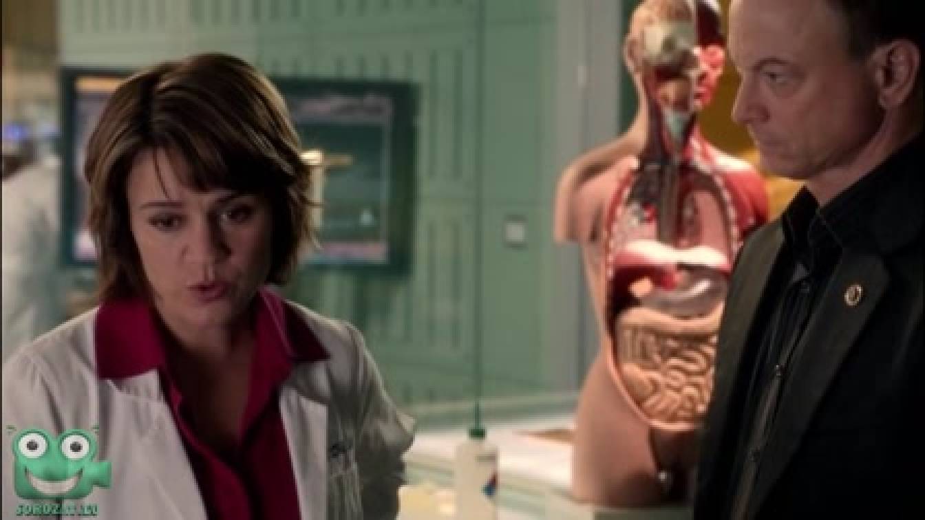 CSI: New York 9. évad 02. rész