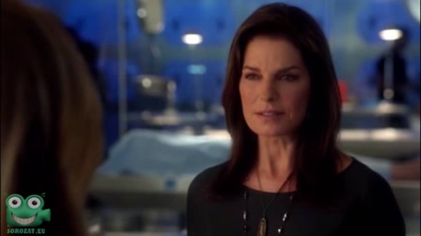 CSI: New York 9. évad 07. rész