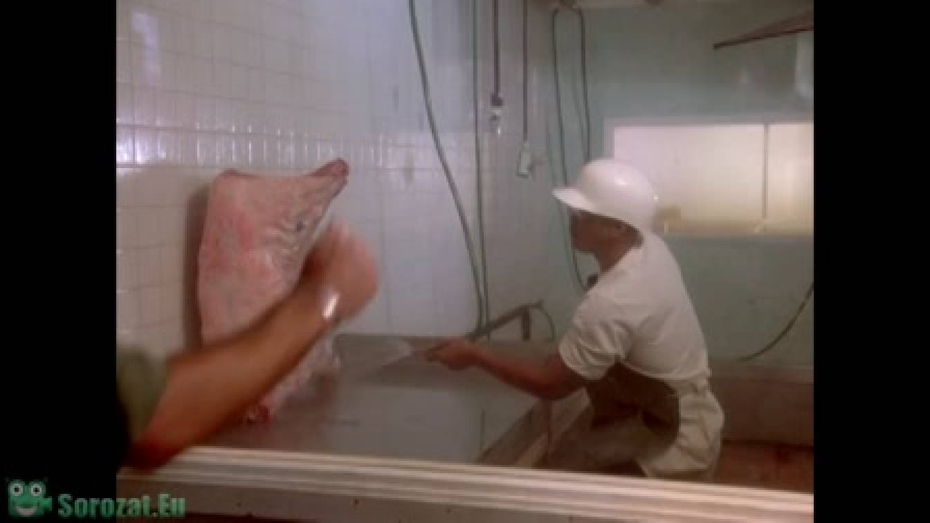 Magnum 5. évad 21. rész