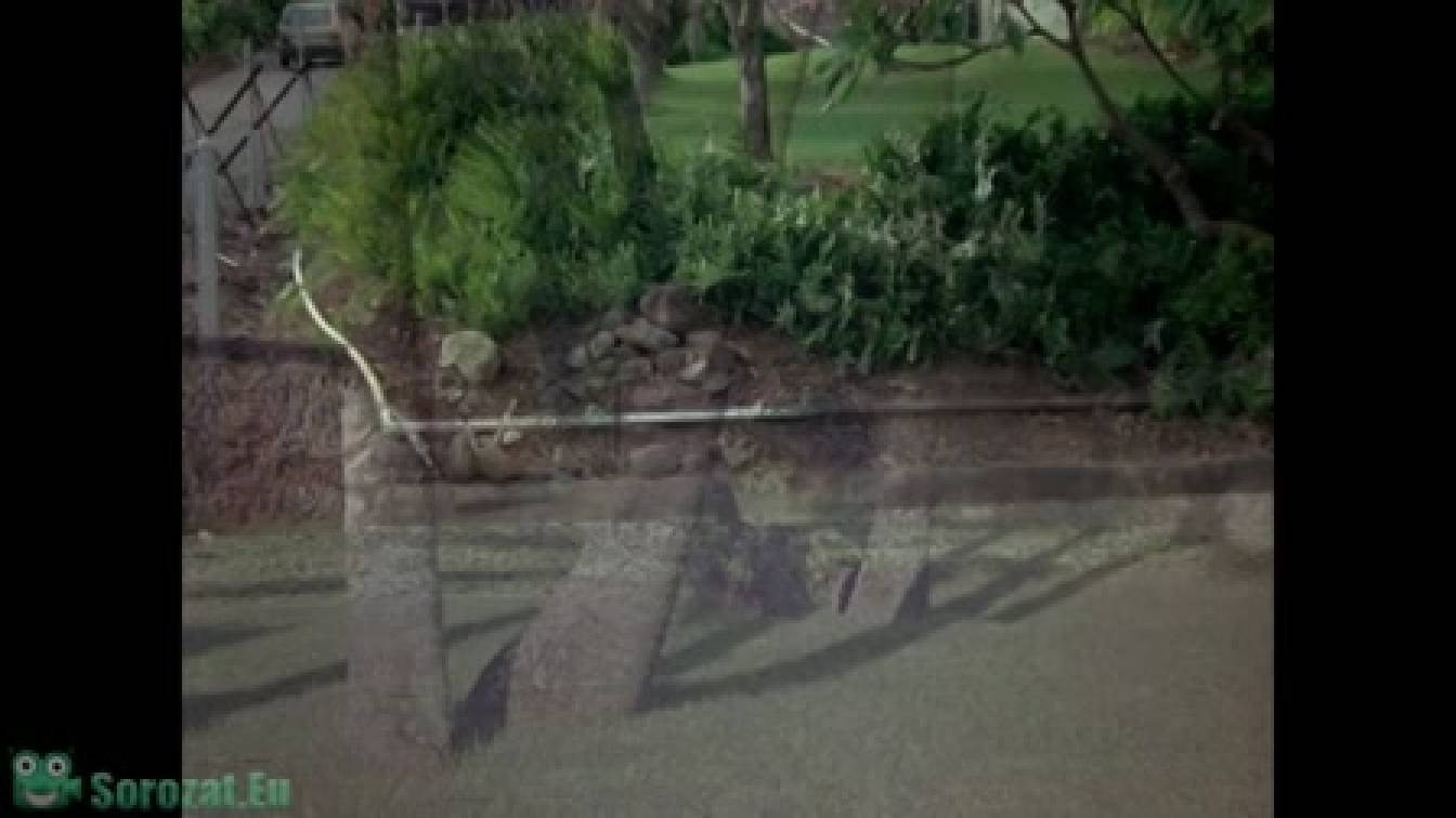 Magnum 6. évad 14. rész