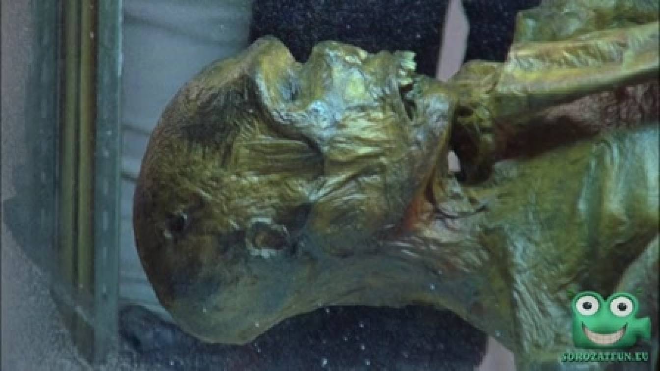 Monk - A flúgos nyomozó 3. évad 10. rész