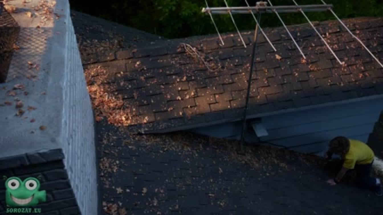 A Goldberg család 1. évad 04. rész