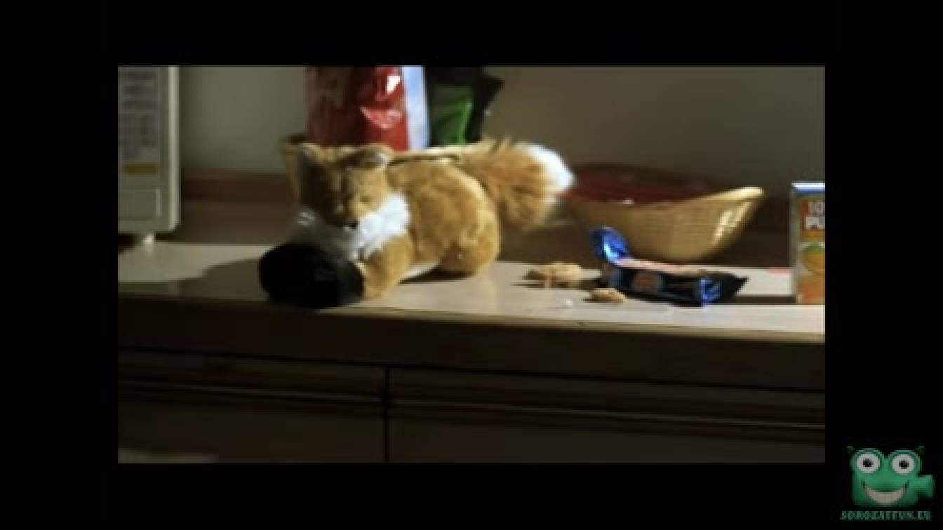 CSI: Helyszínelők 11. évad 10. rész