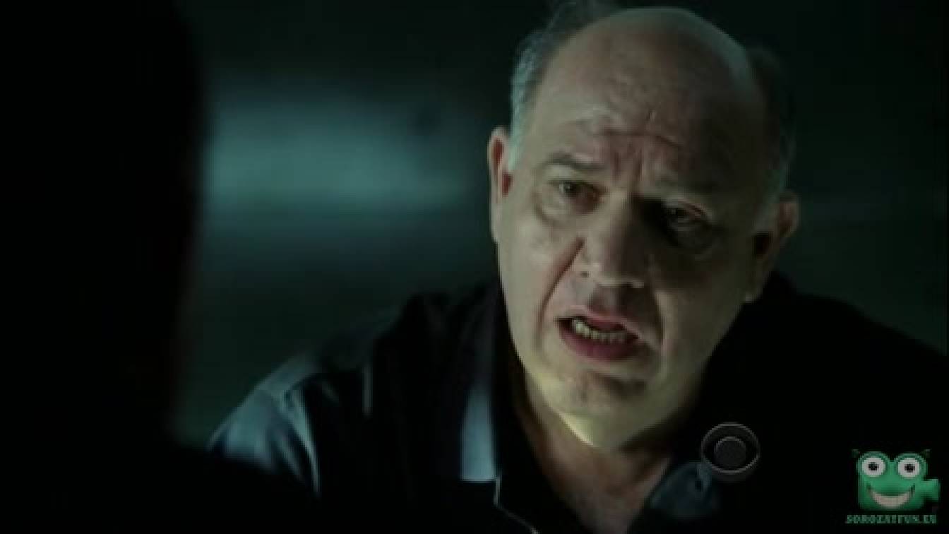 CSI: Helyszínelők 10. évad 09. rész