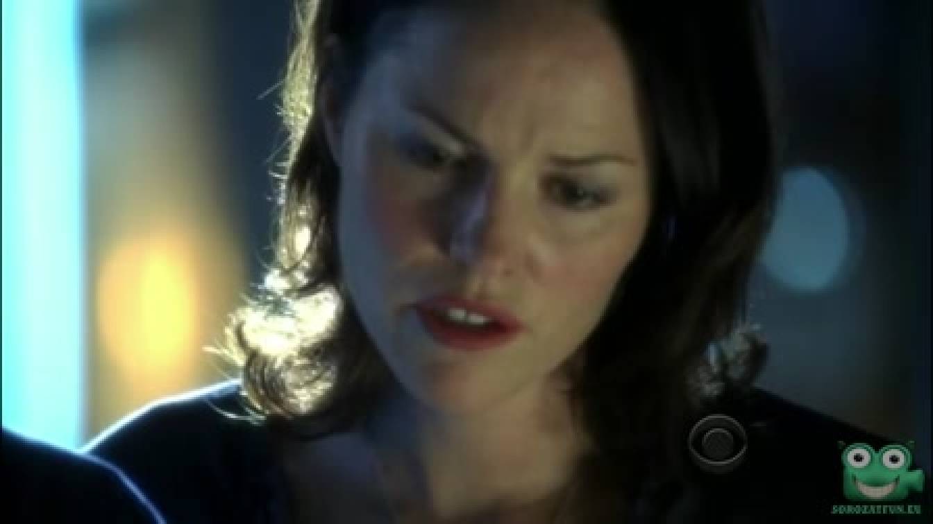 CSI: Helyszínelők 10. évad 10. rész