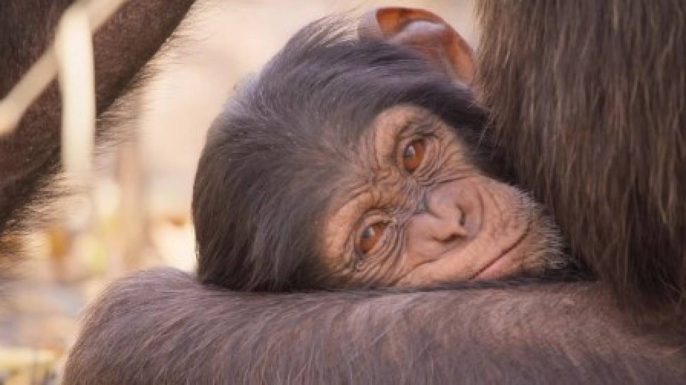 Élő bolygónk 1. évad 03. rész