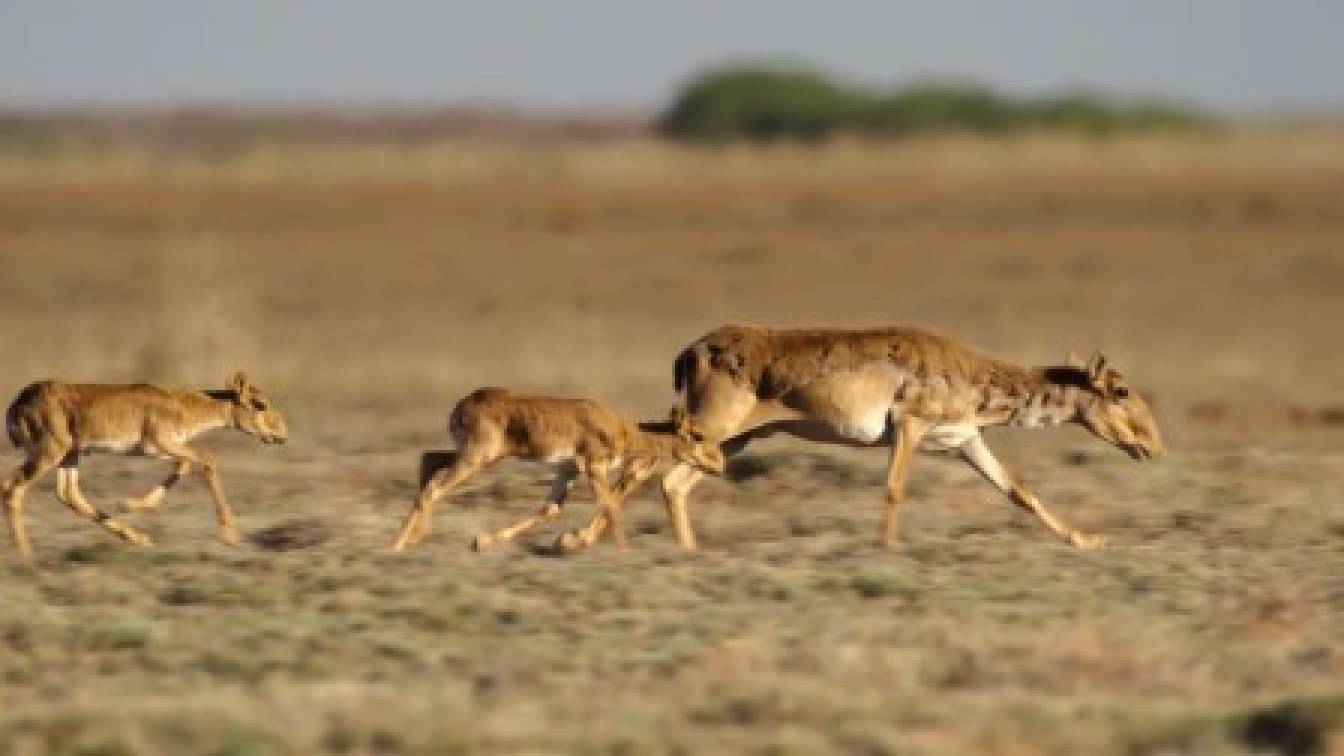 Élő bolygónk 1. évad 04. rész