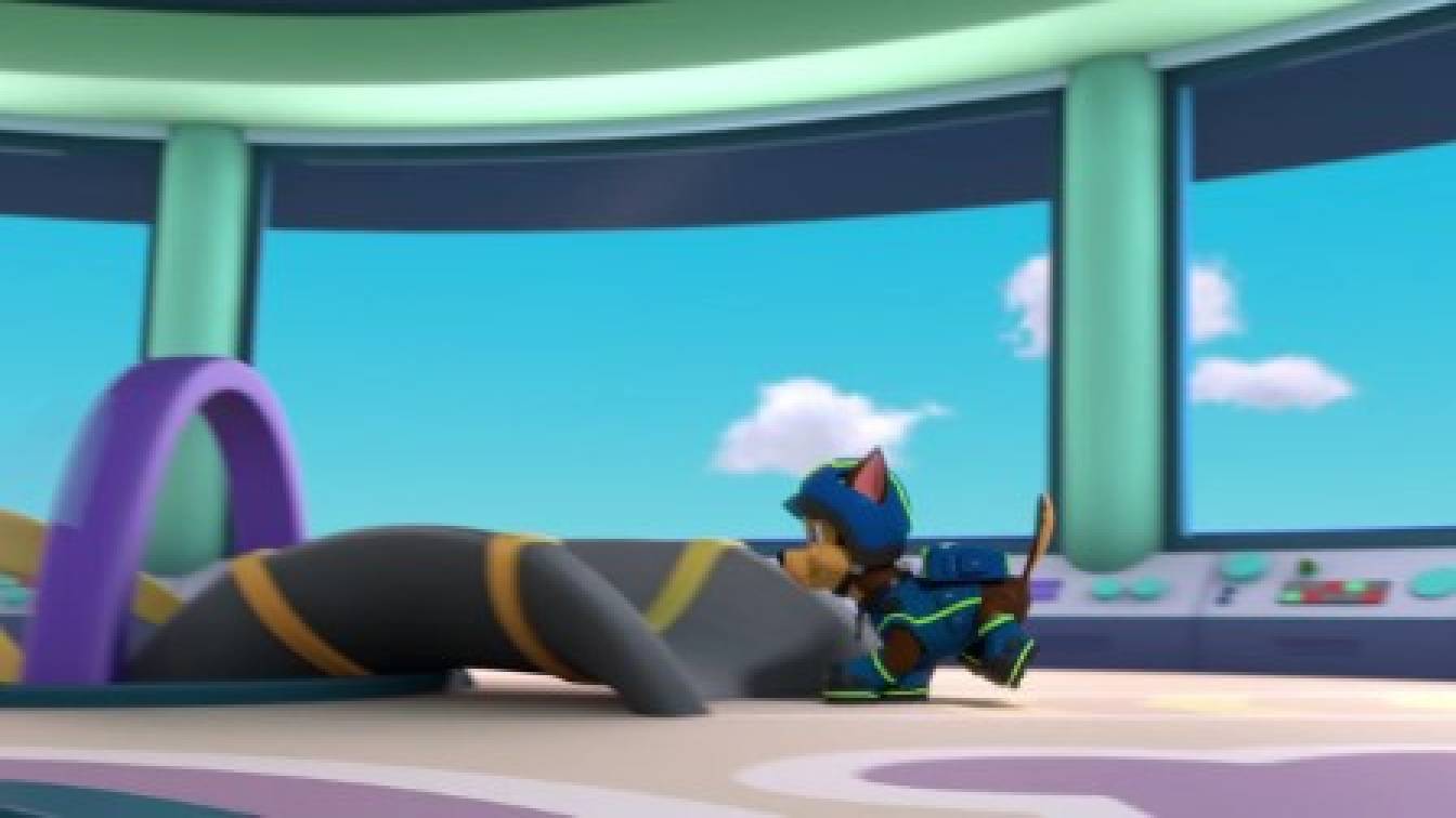 A mancs őrjárat 10. évad 09. rész