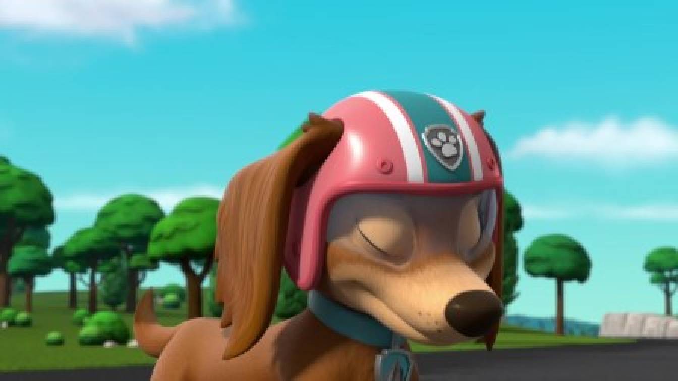 A mancs őrjárat 10. évad 13. rész