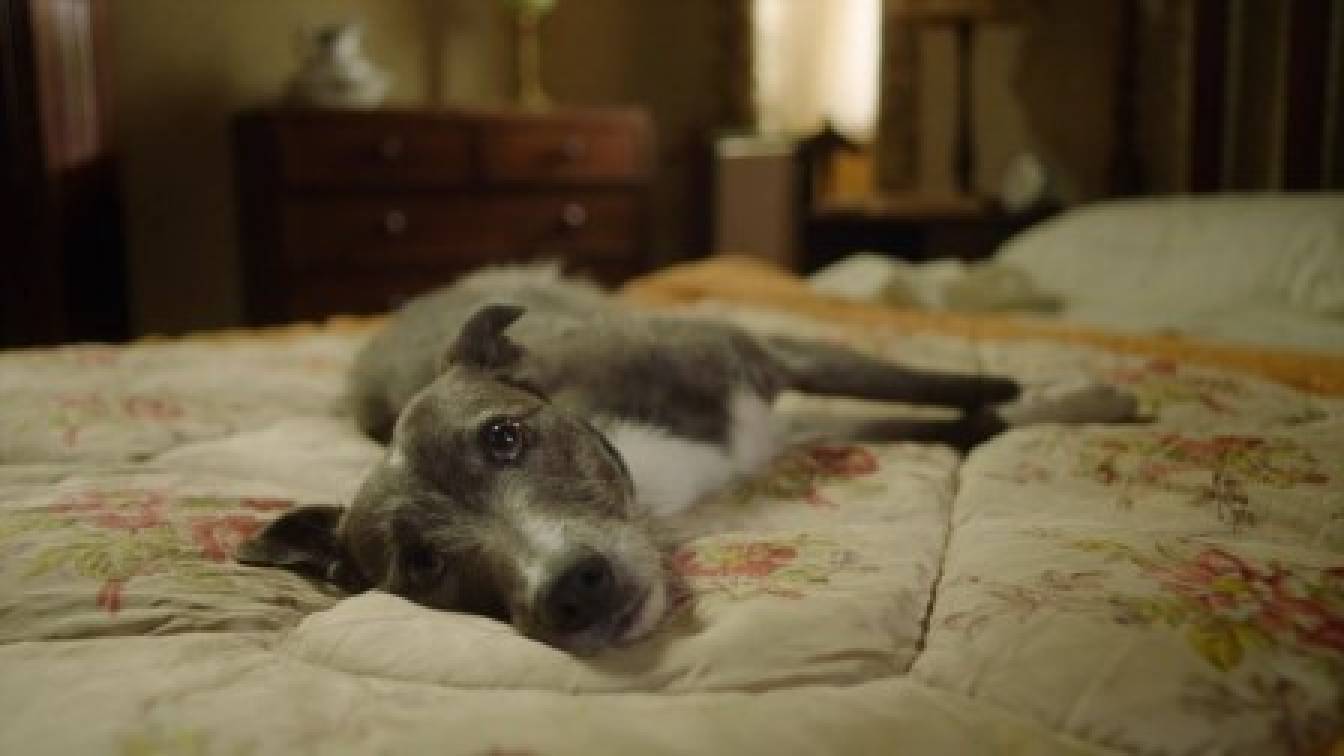 Az élet dicsérete 5. évad 05. rész