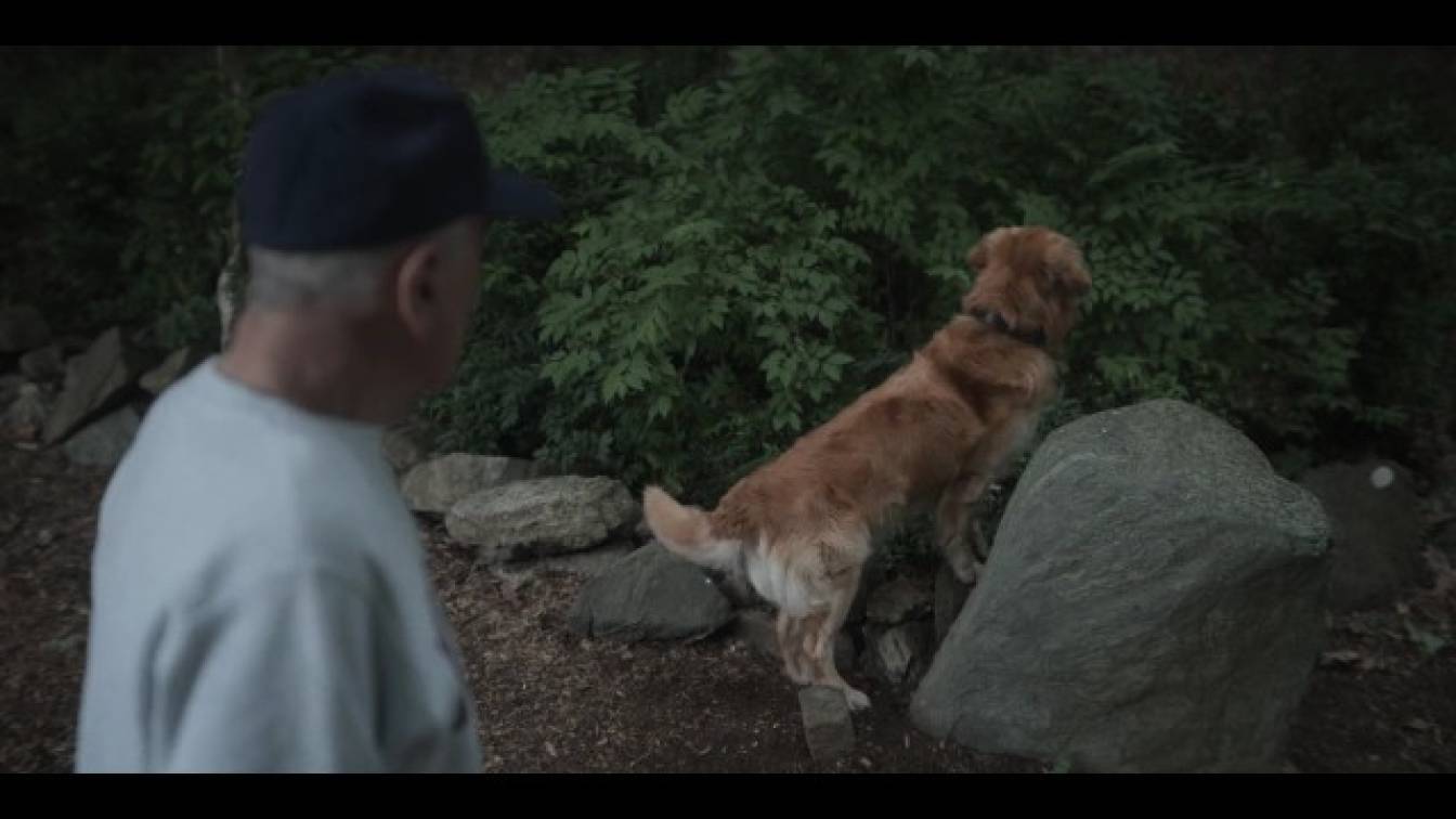 Nulladik nap 1. évad 01. rész