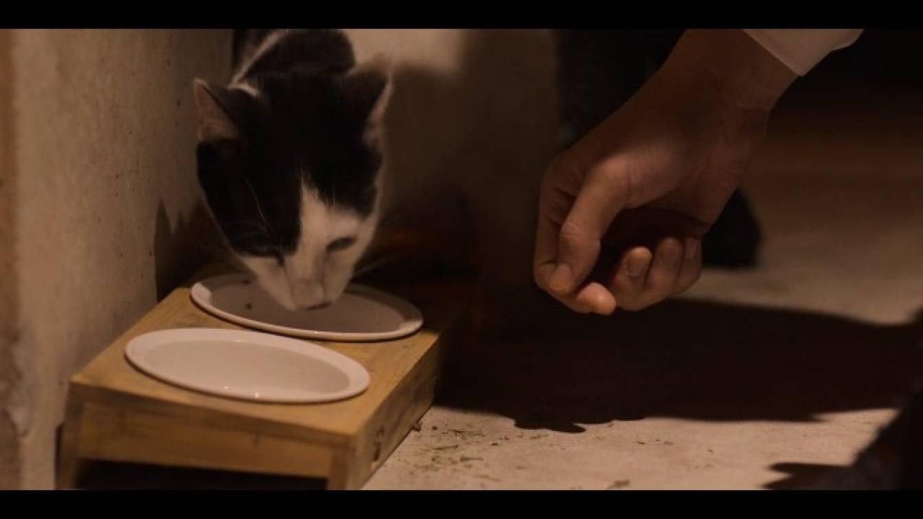 Könyörtelen bosszú 1. évad 01. rész