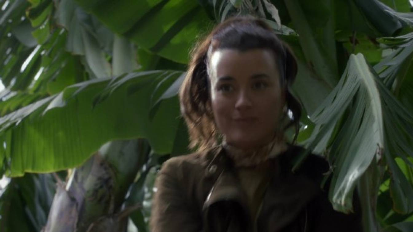 NCIS: Tony és Ziva 1. évad 10. rész