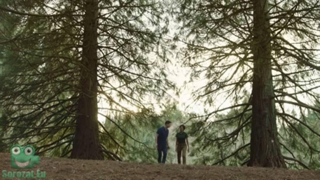 Feltöltés 2. évad 04. rész