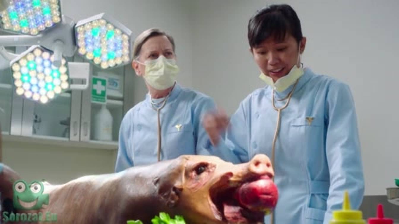 Három elfoglalt Debra 1. évad 05. rész