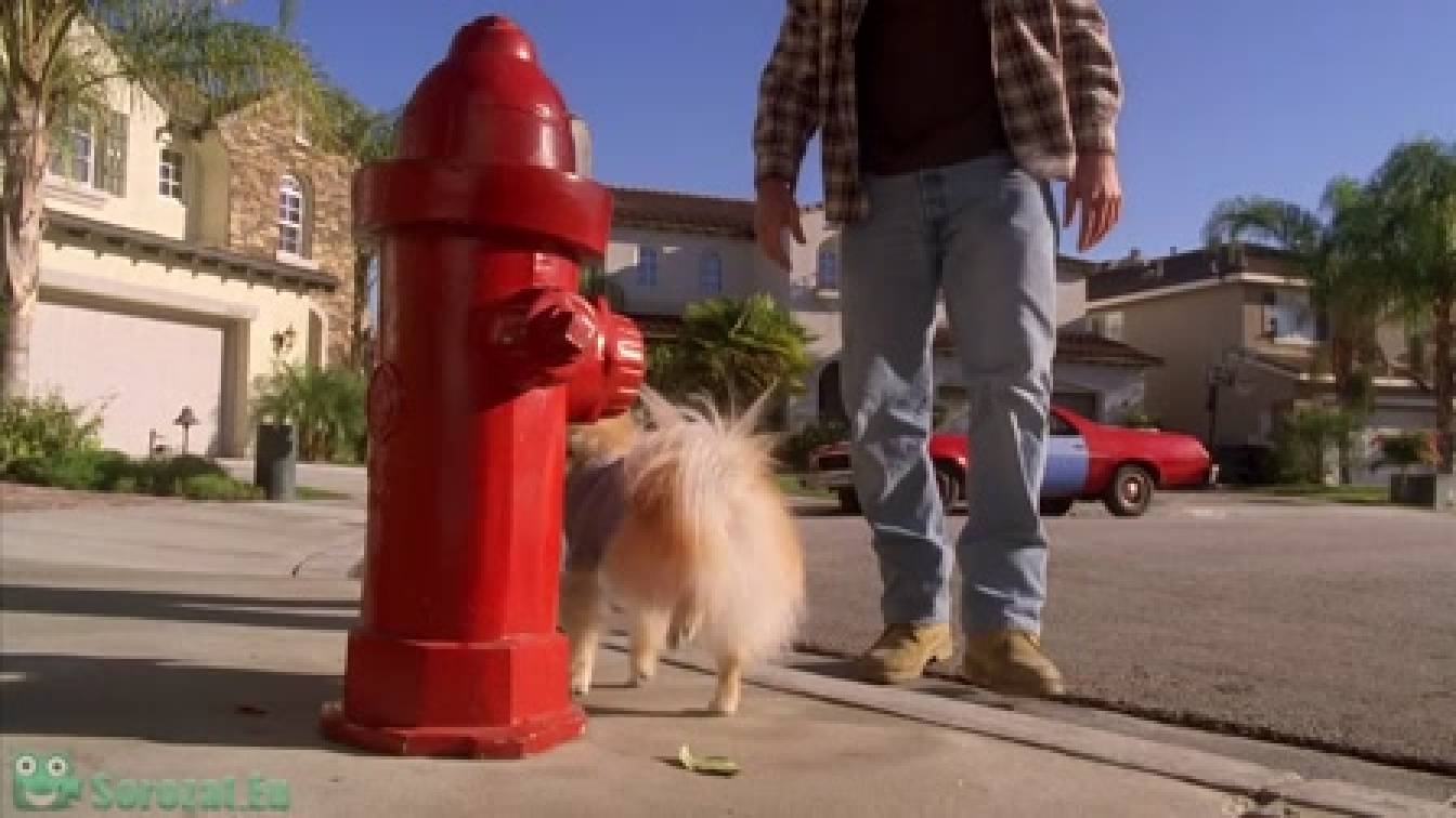 A nevem Earl 4. évad 18. rész