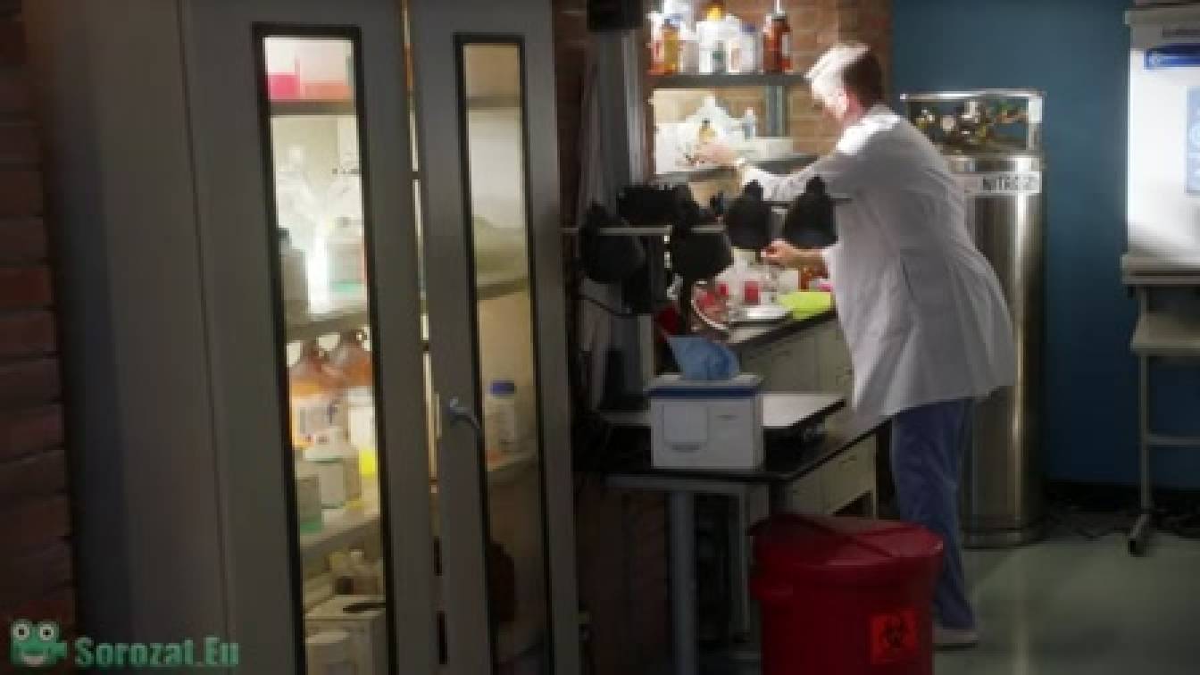 NCIS Tengerészeti helyszínelők 19. évad 13. rész