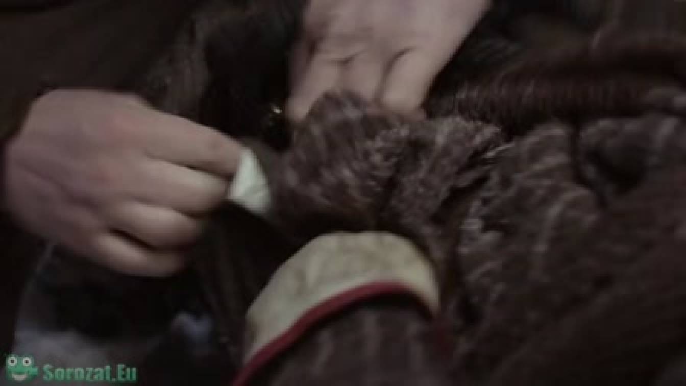 Anne, E-vel a végén! 1. évad 07. rész