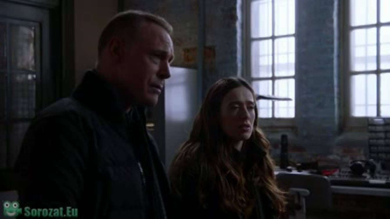 Bűnös Chicago 9. évad 13. rész