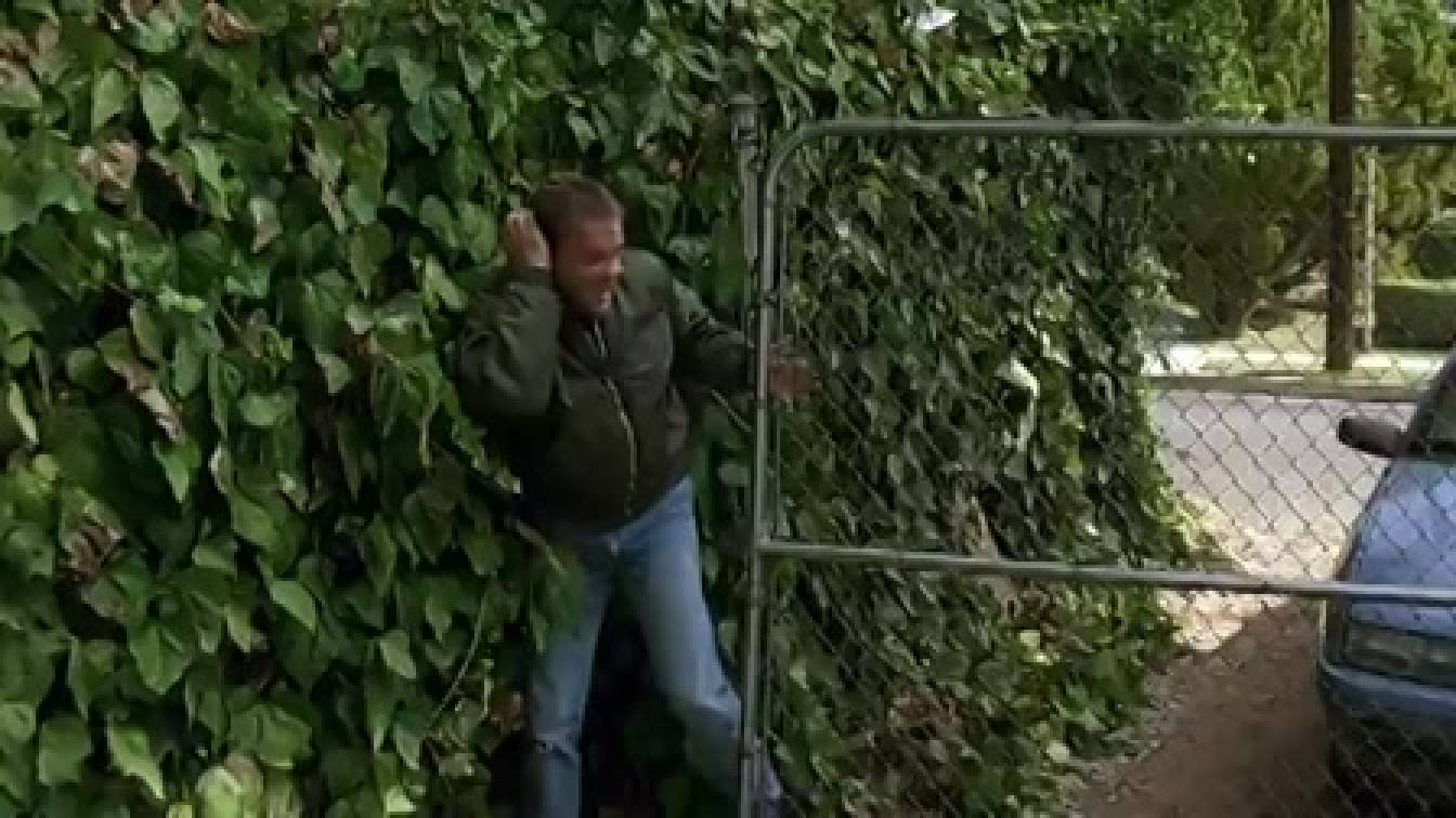 24 2. évad 04. rész