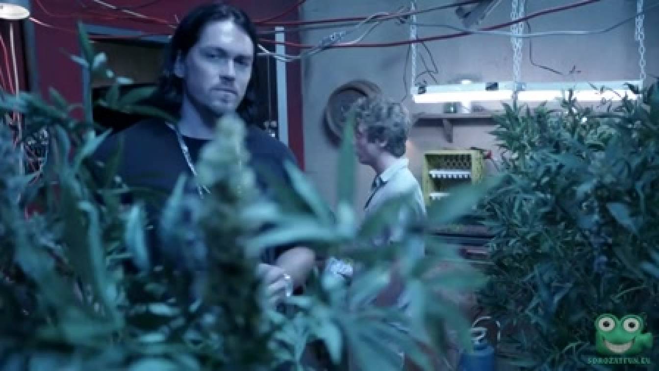 Szégyentelenek 2. évad 01. rész