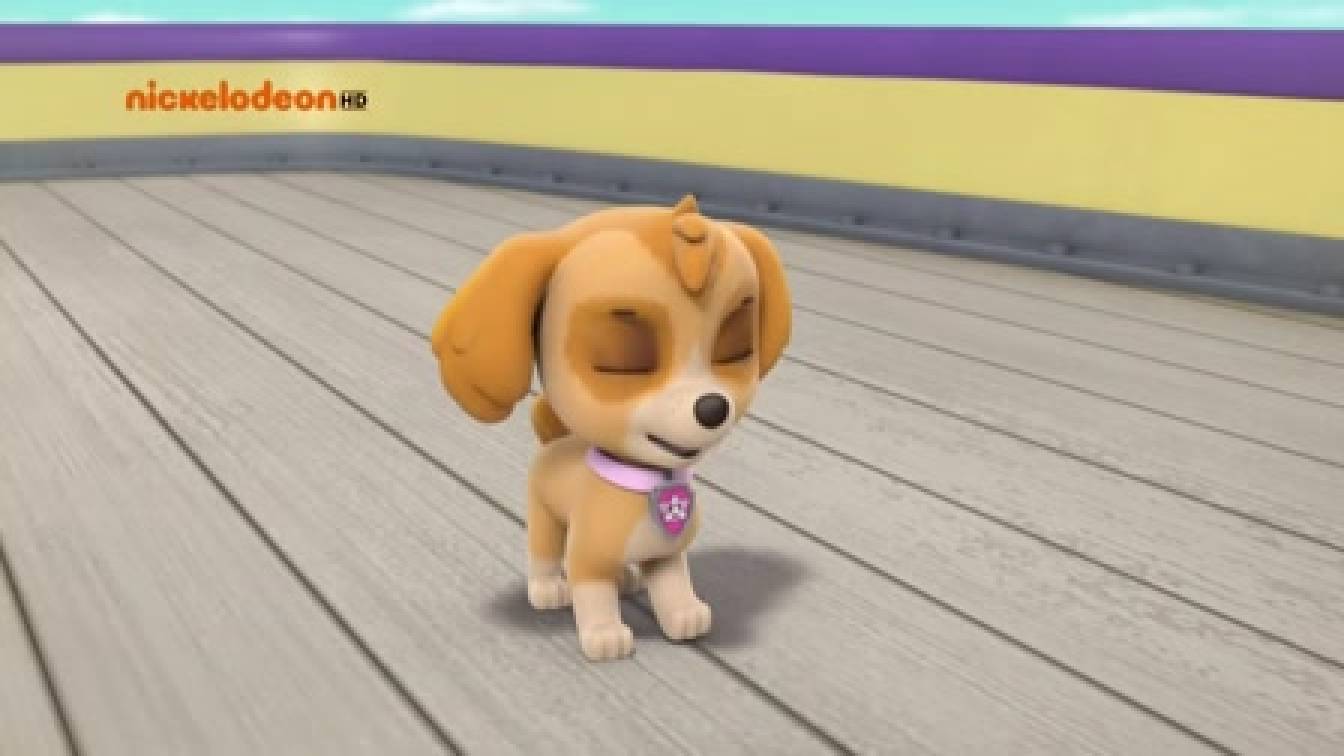 A mancs őrjárat 2. évad 21. rész