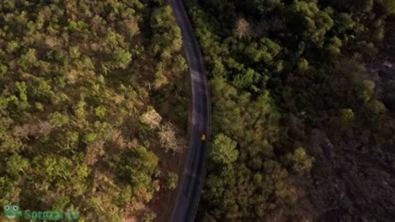 Száguldó Layne 1. évad 05. rész