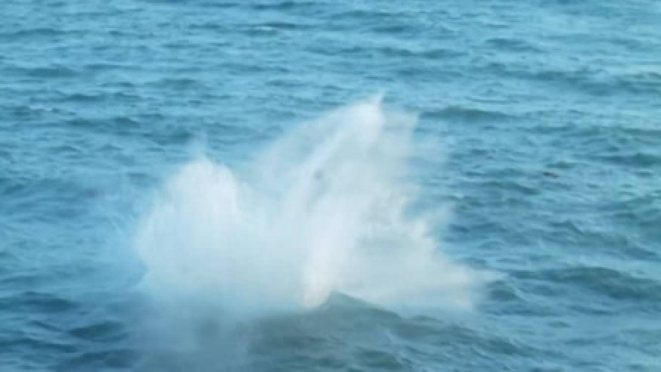 Baywatch 3. évad 07. rész