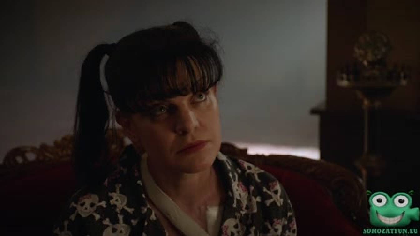 NCIS Tengerészeti helyszínelők 15. évad 22. rész