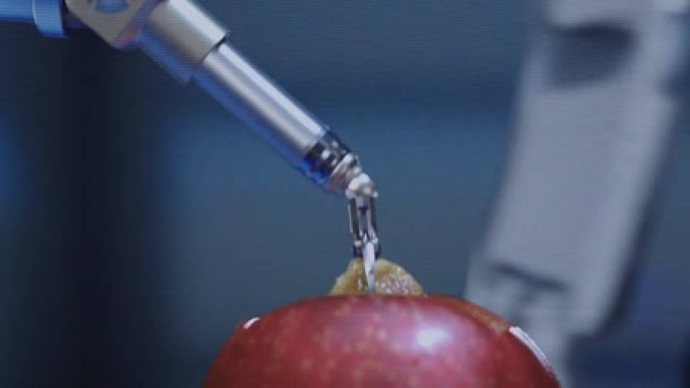 A rezidens 1. évad 01. rész