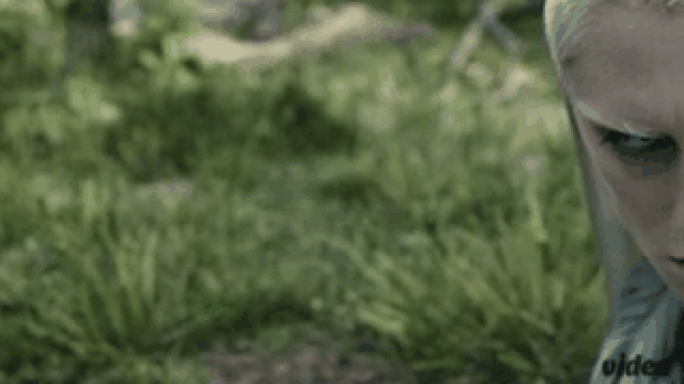 A Gyűrűk Ura: A hatalom gyűrűi 1. évad 05. rész